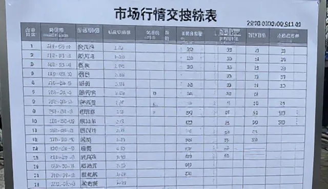 市场行情分析中的性能与适用条件限制因素